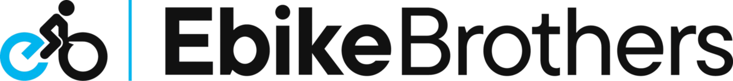 Jussi Viljasen asiakas Ebike Brothers